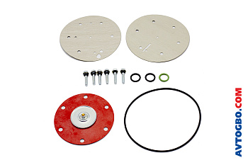 Ремкомплект редуктора EMER PALLADIO (250 KW 1.4 bar)