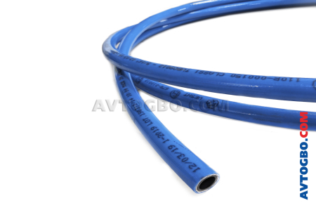 TUB09012(1)
