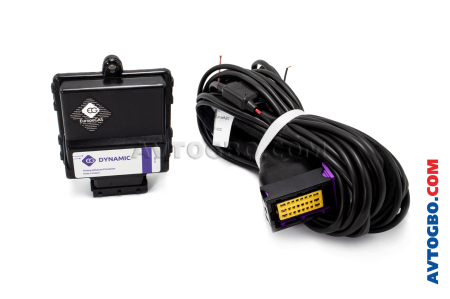VRT-EG Dynamic